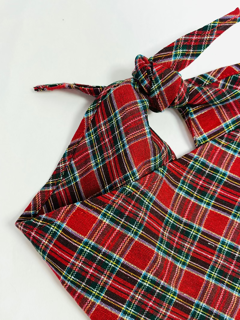 Bandana écossais pour chien – B de Bruno