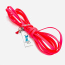 Longe pour petit chien