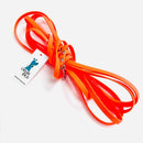 Longe pour petit chien