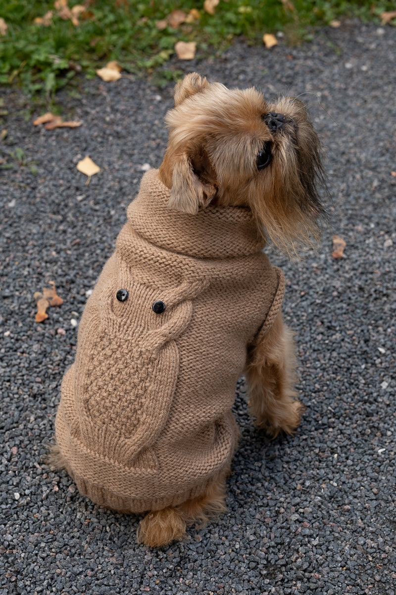 Pull pour chien en laine Walter