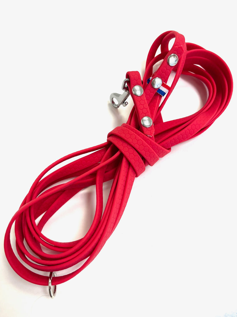 Longe pour petit chien