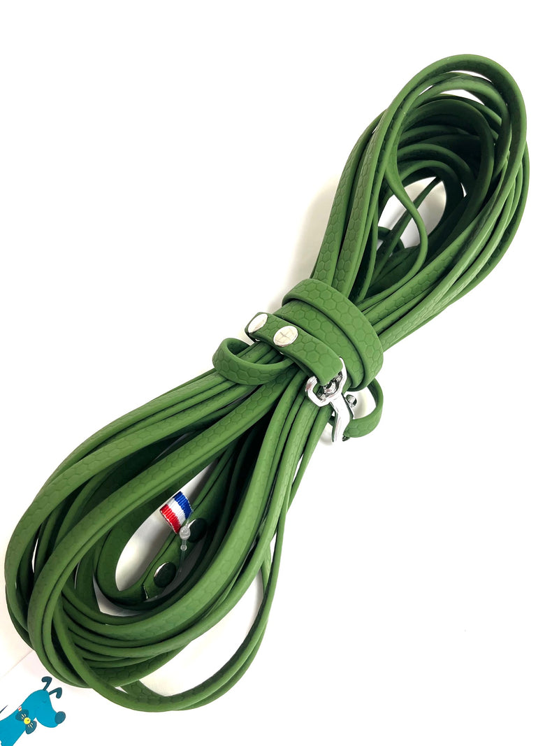 Longe pour petit chien