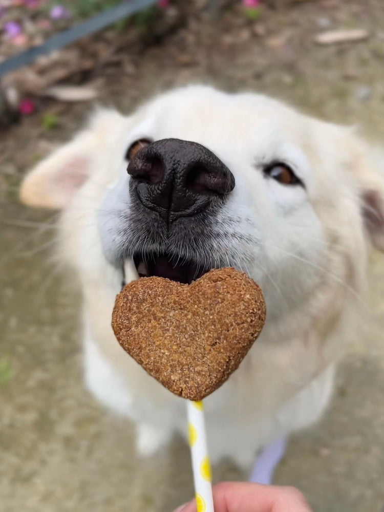 Sucettes de Biscuits en Forme de Cœur Belfos Pet Bakery X Collaboration Hariet & Rosie - 10 ans