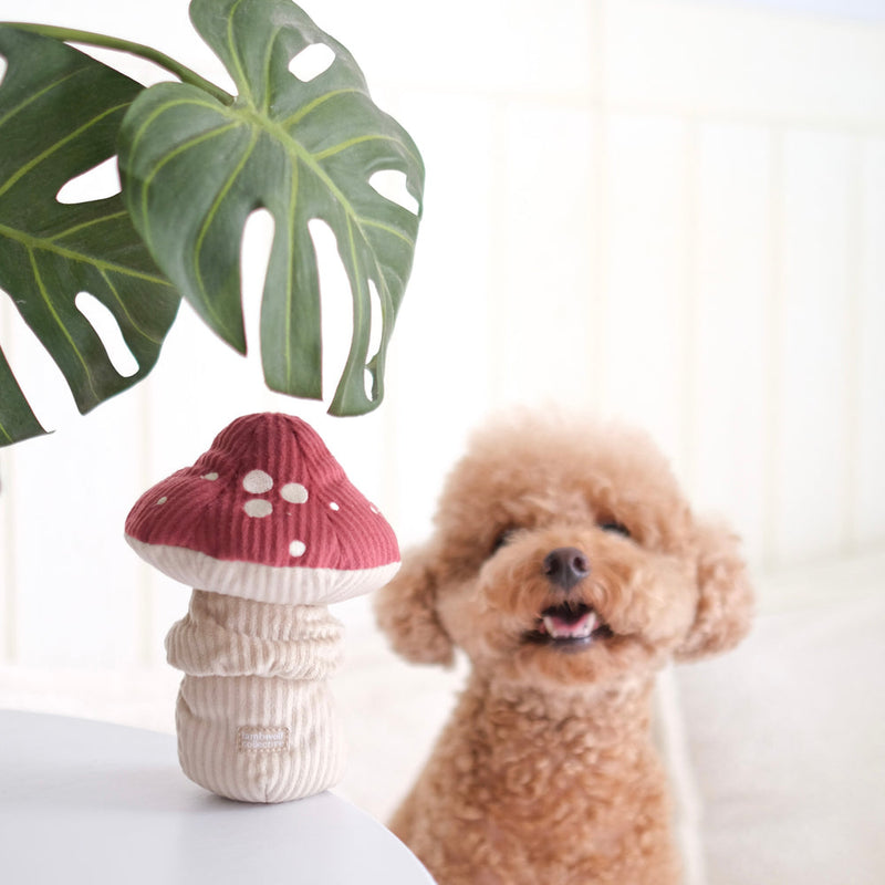 Jouet interactif pour chiens Champignon