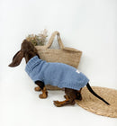 Pull pour chien chaud et artisanal