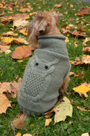 Schnauzer portant un pull dans l'herbe