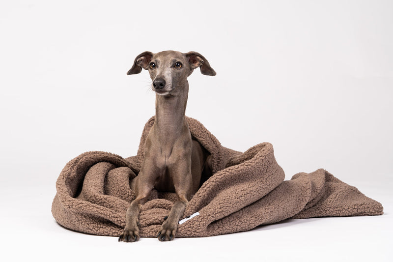 Sac de couchage moelleux pour chien – Mokka