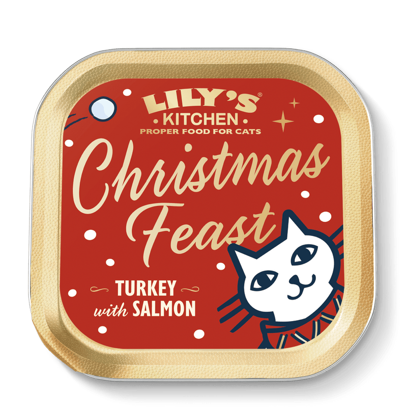 Repas de Noël pour chat dinde et jambon