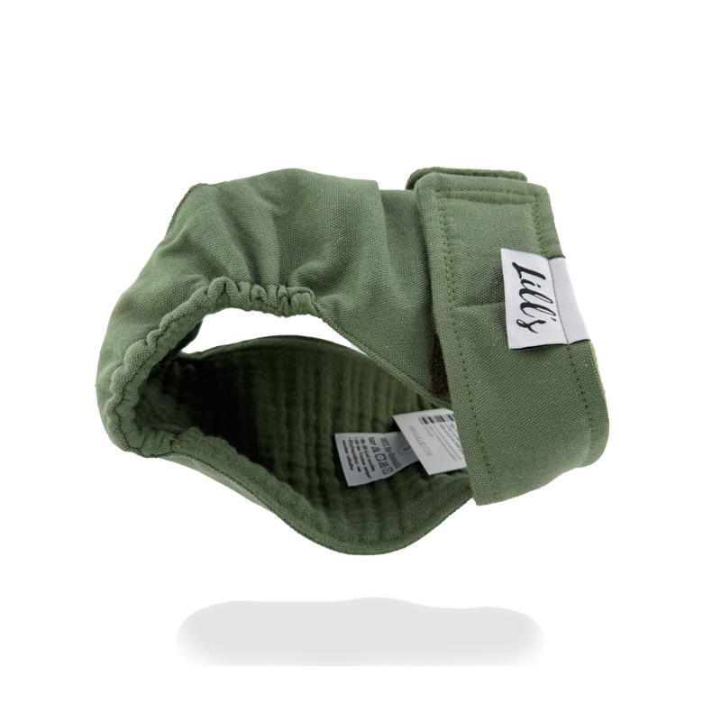 Culotte de chaleurs pour chienne en coton bio