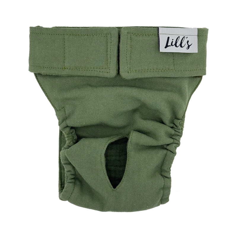 Culotte de chaleurs pour chienne en coton bio