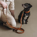 Laisse fine pour chien en cuir ajustable Lasso Air Band & Roll