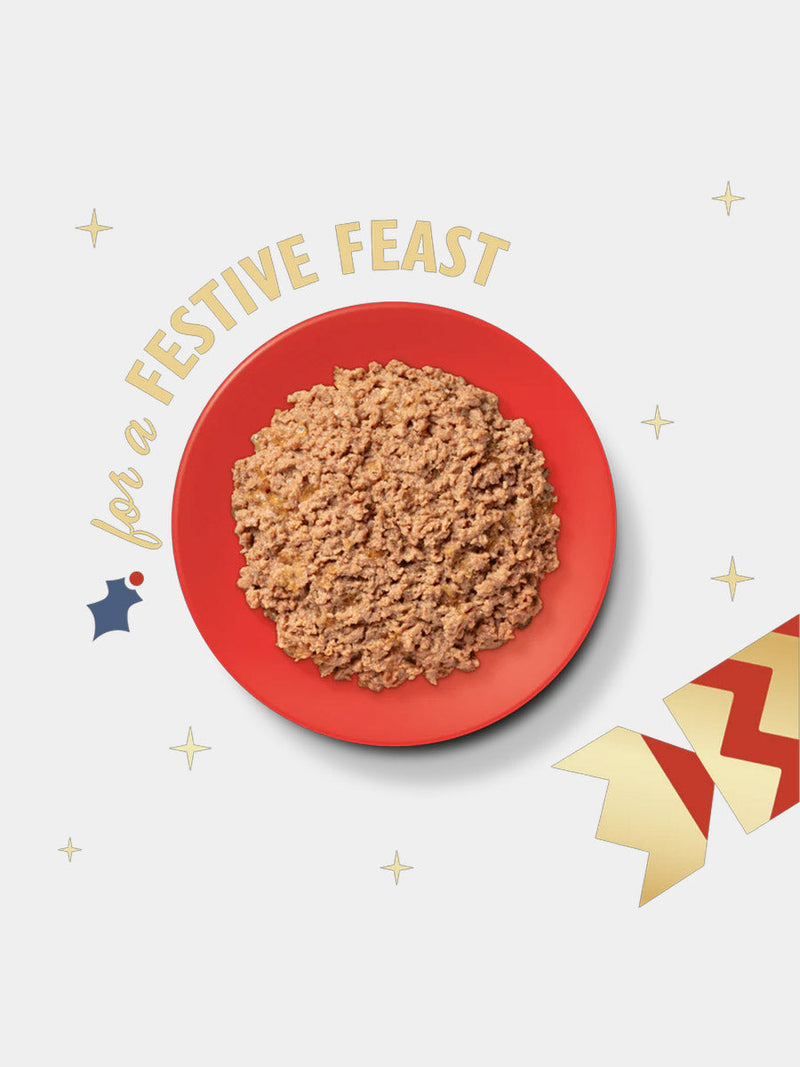Repas de Noël pour chat dinde et jambon