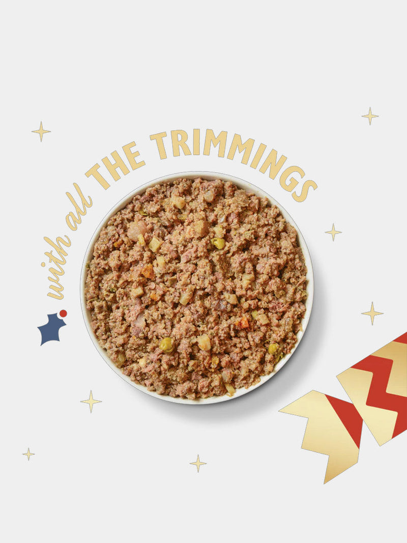 Repas de Noël pour chien à la dinde