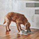 Set de table antidérapant Tova