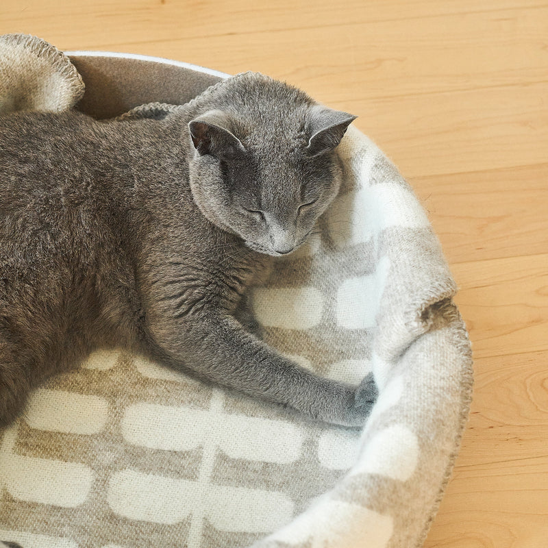 Couverture Flora pour chat