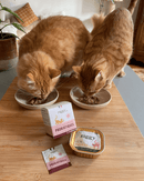 Probiotiques pour Chat Ziggy