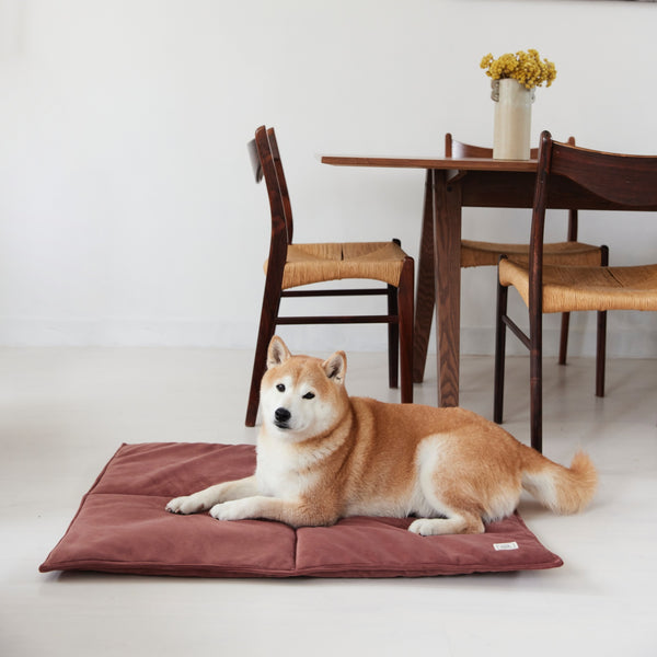 Tapis de Voyage Monsieur Hardi - Confort Nomade pour Votre Chien