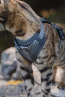 Harnais pour chat Miacara Modena avec laisse