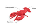 Lemmy le Homard – Jouet pour Chien PLAY Ocean Buddies