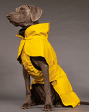 Imperméable Réfléchissant pour grand Chien – PAIKKA Visibility Raincoat