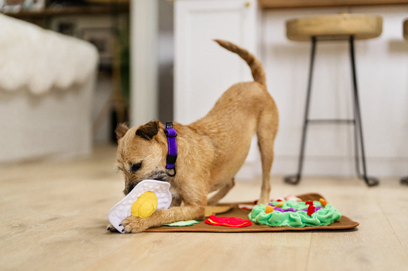 Tapis de Fouille pour Chien "Savory Sunrise"