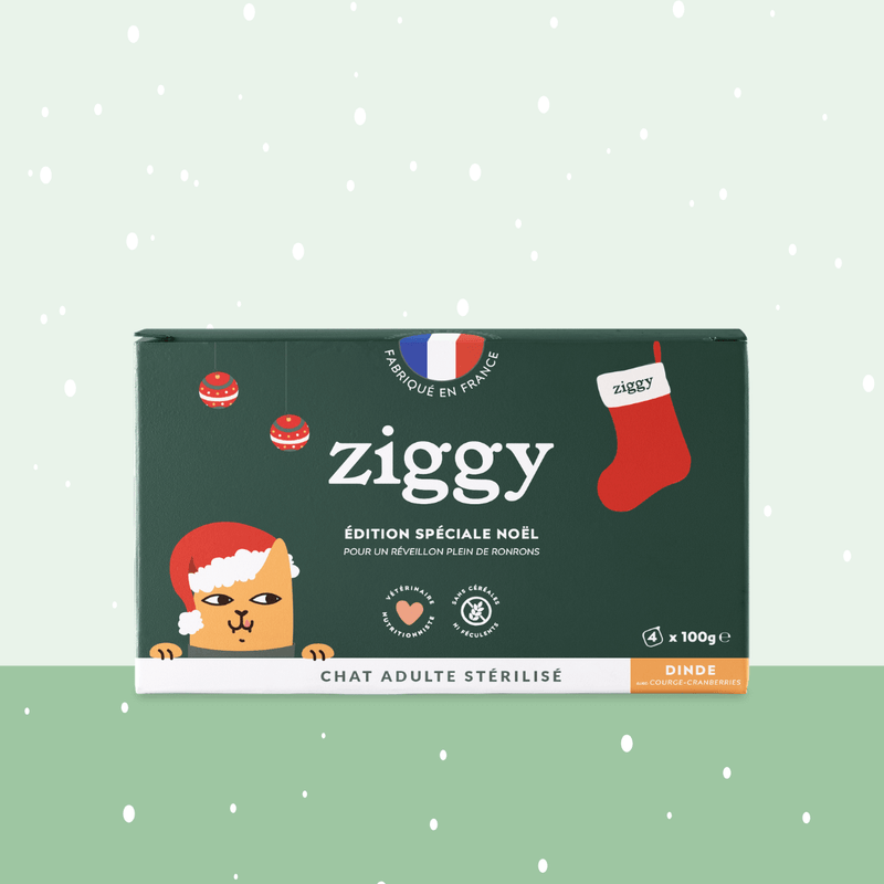 Pâté de Noël à la dinde Ziggy