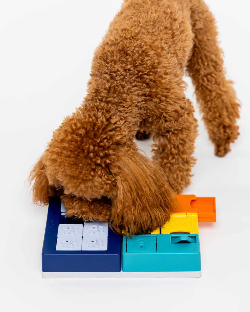 Puzzle pour chien évolutif Smarty Set Pawzler