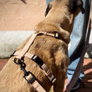 Harnais H imperméable