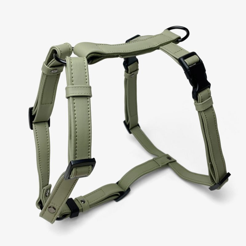 Harnais H en silicone Boop the Snoot – imperméable et réglable