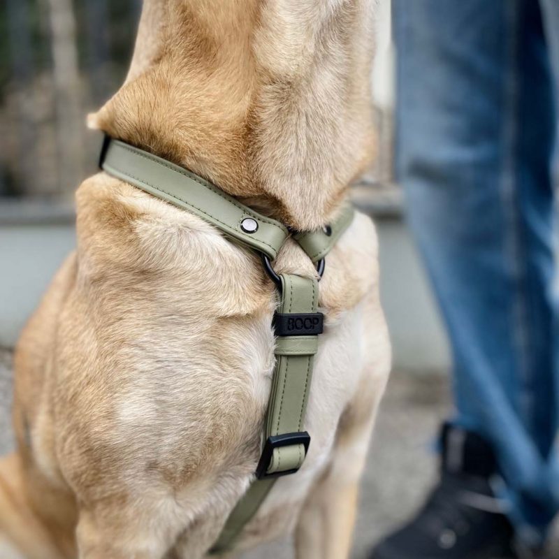 Harnais H imperméable