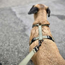 Harnais H imperméable