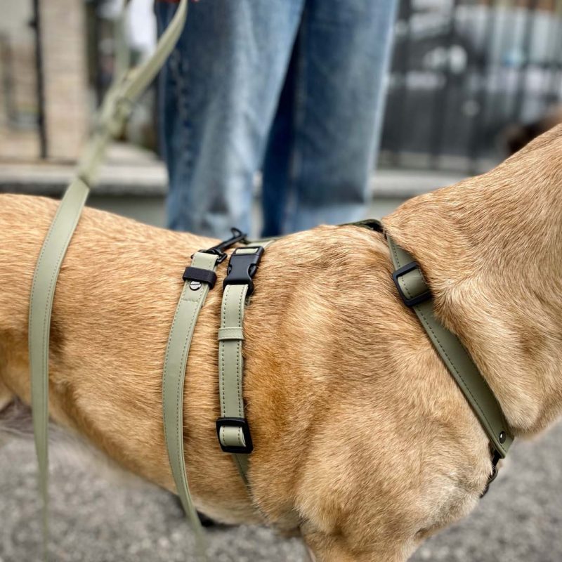 Détail du harnais en silicone hypoallergénique