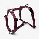 Harnais chien recyclé Boop the Snoop