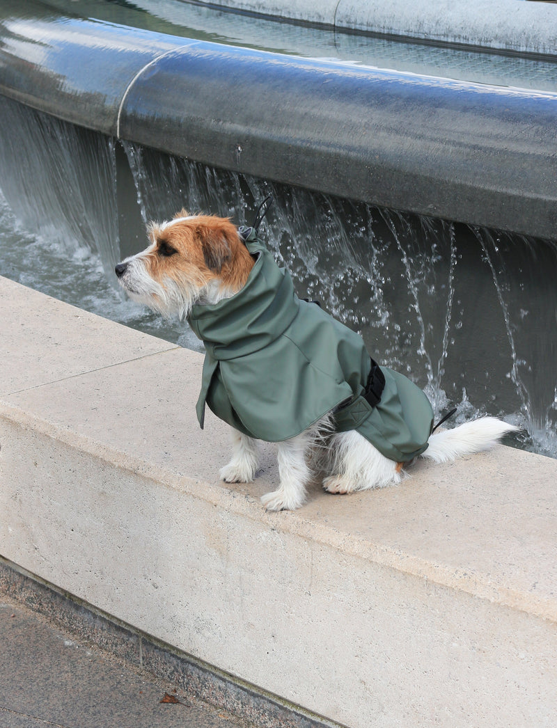 Imperméable pour chien élégant et sportif