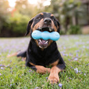 Jouet à Mâcher Rumpus pour Chien – West Paw