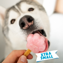 Moule à glace ou gâteau en forme de patte