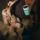 Bouchées Delamour – Digestion (Saveur poulet)