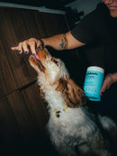 Bouchées Delamour – Anxiété (Saveur poulet)