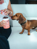 Bouchées Delamour – Articulations (Saveur poulet)