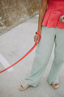 Laisse pour chien Granada