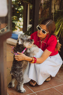 Collier pour chien Ceret