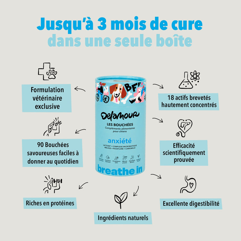 Bouchées Delamour – Anxiété (Saveur poulet)