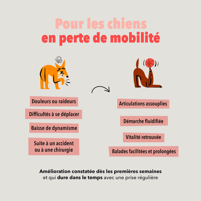 Bouchées Delamour – Articulations (Saveur poulet)