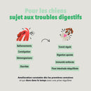 Bouchées Delamour – Digestion (Saveur poulet)