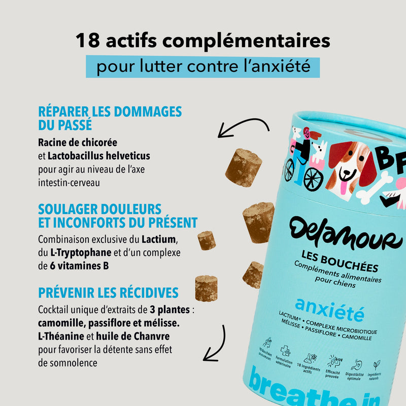 Bouchées Delamour – Anxiété (Saveur poulet)