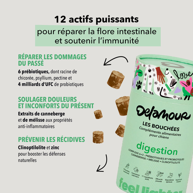 Bouchées Delamour – Digestion (Saveur poulet)