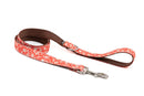 Collier pour chien Borges