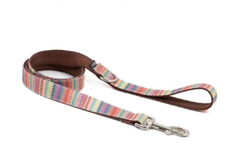 Collier pour chien Llavanares