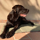 Tapis polyvalent en tissu recyclé