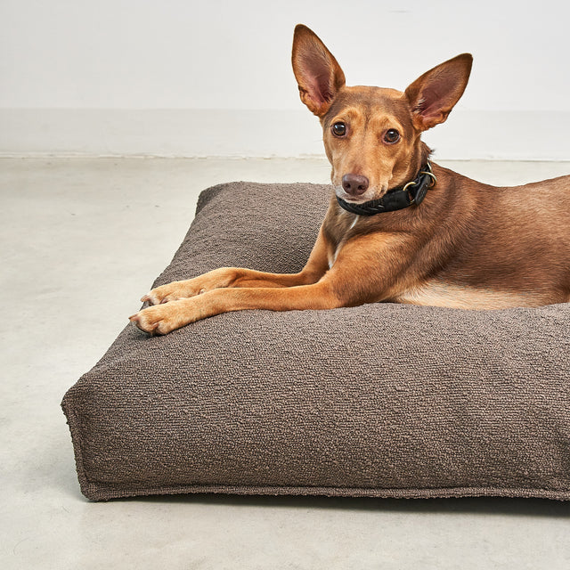 Coussin pour chien Mondo